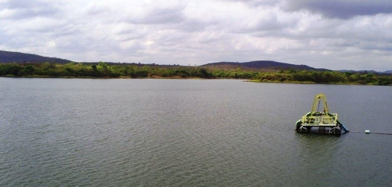 Cerca de 50 toneladas de peixes mortos são removidos de açude em Lavras da Mangabeira