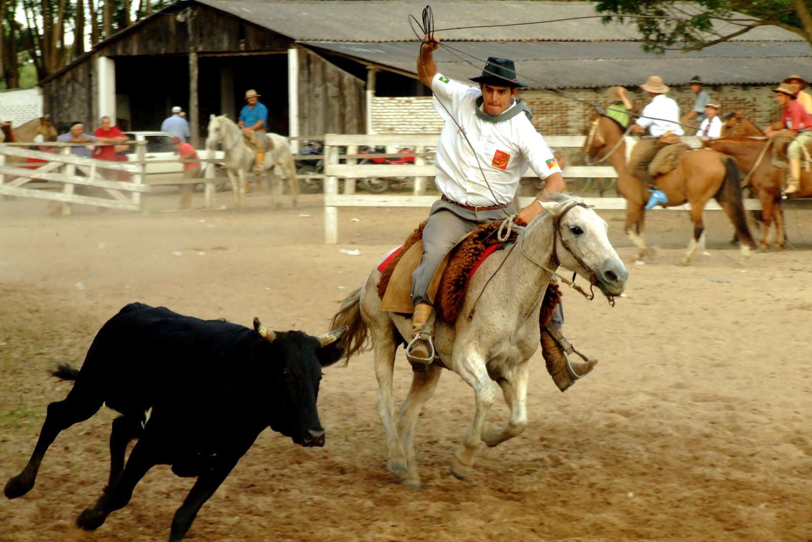 Em segundo turno, Câmara dos Deputados aprova PEC que permite prática da vaquejada