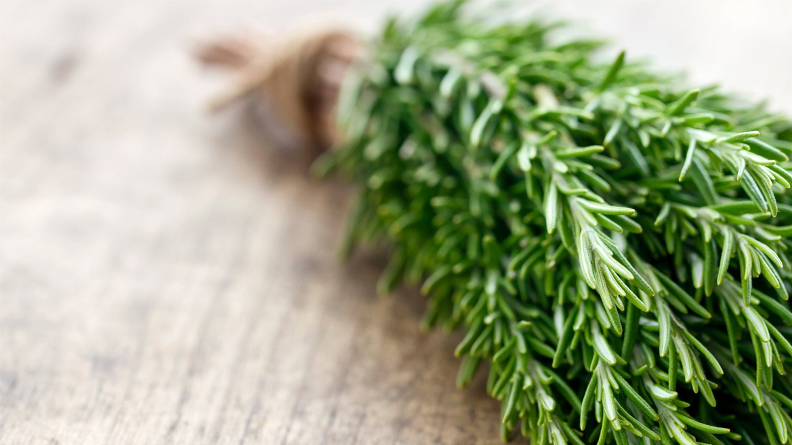 Cientistas descobrem que alecrim possui propriedades que auxiliam no tratamento da memória