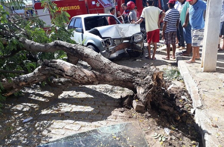Automóvel colide com árvore no Centro de Quixeramobim