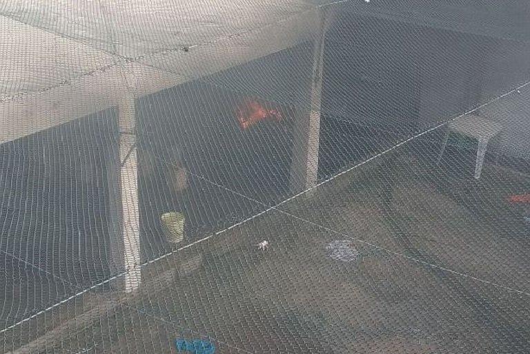 detento-queimado-O-POVO1