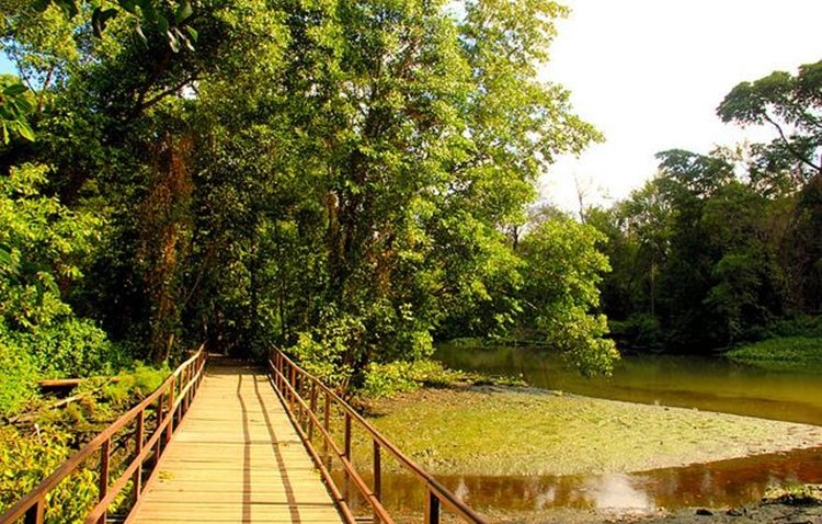 Camilo Santana lançará Concurso de Ideias para o Cocó nesta quarta-feira, 5