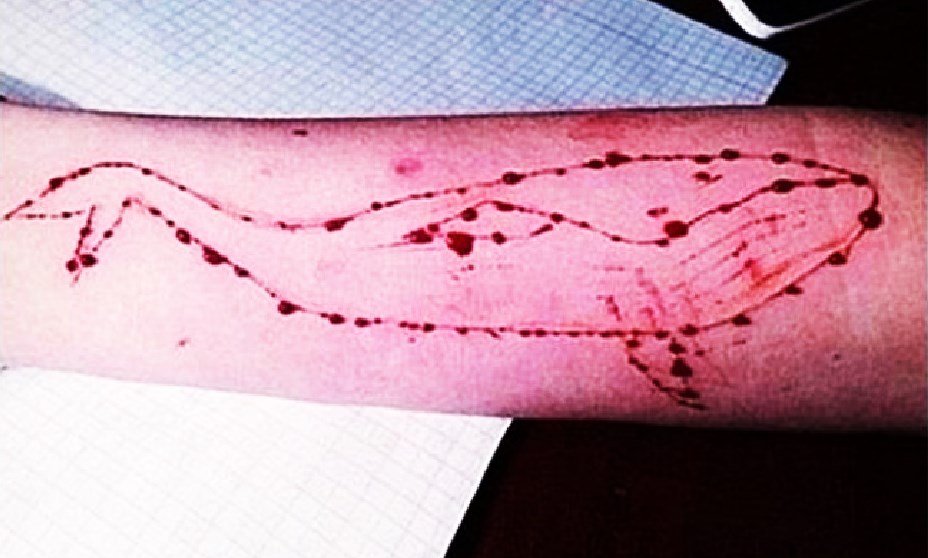 portalinteressante.com-screenshot_4-5