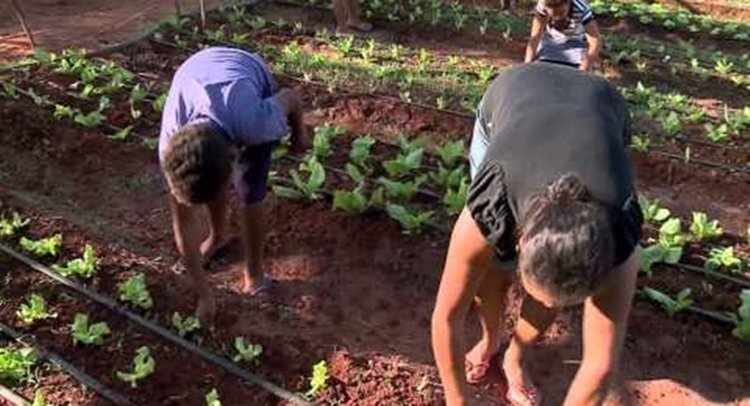 Mulheres assentadas de Quixeramobim terão direito a linha de crédito com assinatura de Termo de Cooperação Técnica com INCRA