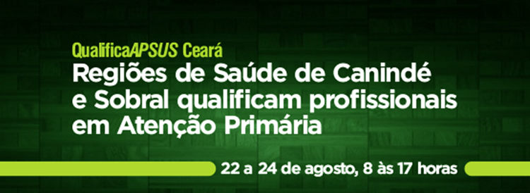 Regiões de Canindé e Sobral realizam oficina com profissionais da Atenção Primária de Saúde