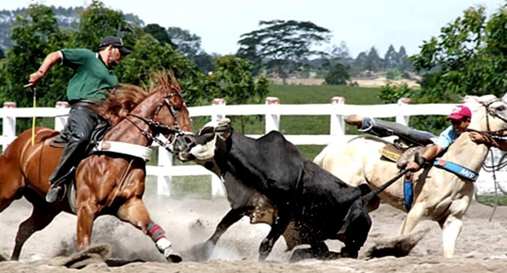 Ministério Público recomenda cancelamento da 28ª Vaquejada de Quixeramobim