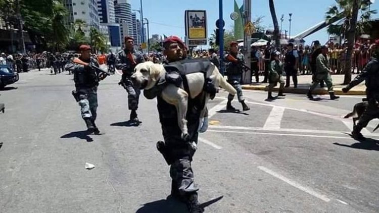 Fortaleza: Policial Militar marcha com cachorro nos braços durante desfile de 7 de Setembro