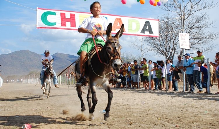 Município de Maranguape promoverá 16ª edição da Corrida de Jumentos