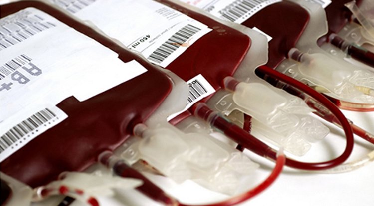 Hemoce recebe mais de 19 mil doações de sangue em agosto e setembro