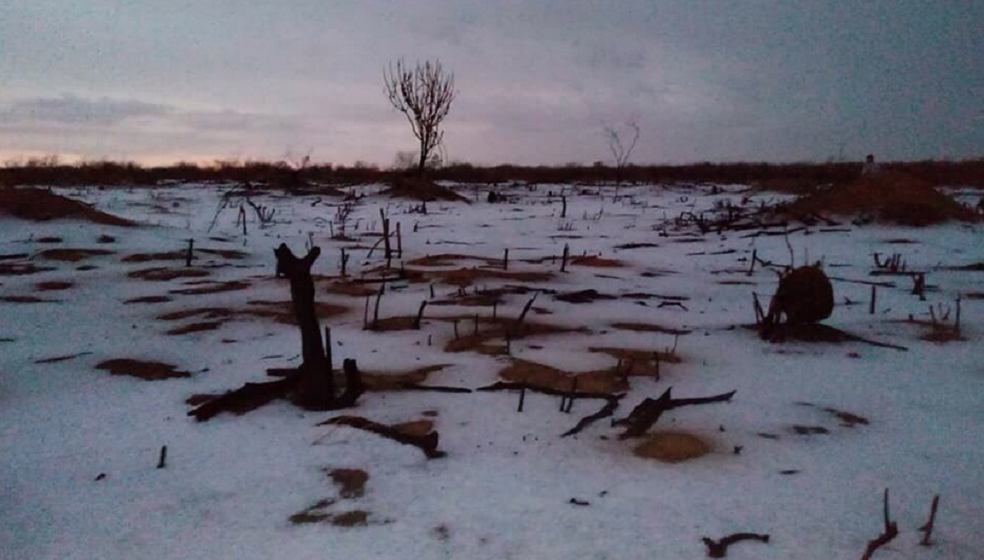 Terceira vez: Ceará volta a registrar chuva de granizo
