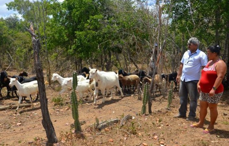 Famílias de Canindé serão contempladas com projeto Fomento Mulher