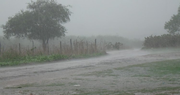 Chuvas em fevereiro já ultrapassam o esperado para o mês inteiro no Ceará