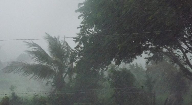 Chove em mais de 70 municípios do Ceará; Granja registra maiores volumes