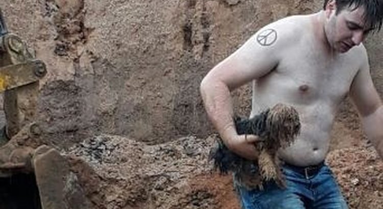 Mega-Sena pode pagar R$15 milhões em sorteio deste sábado, 03