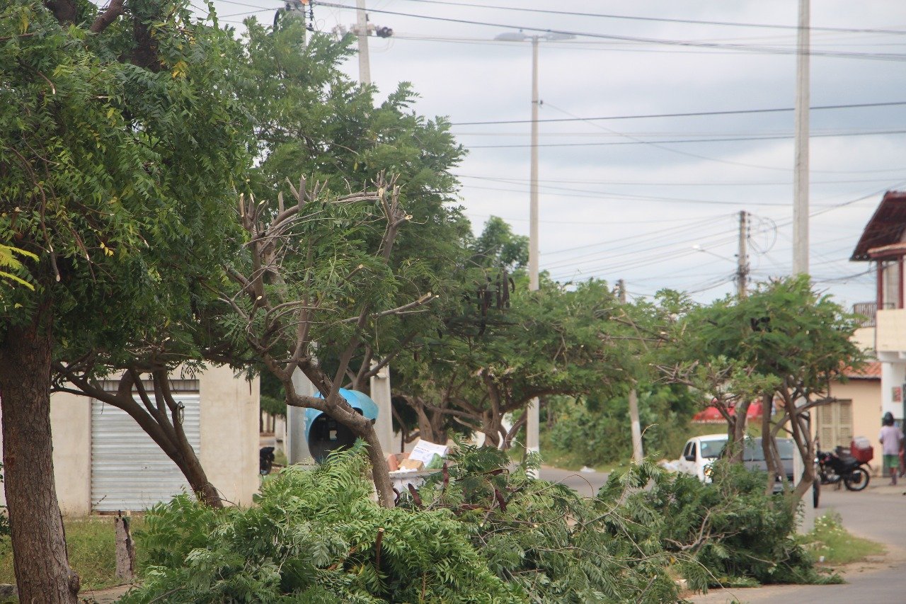 WhatsApp Image 2018-06-18 at 09.46.13