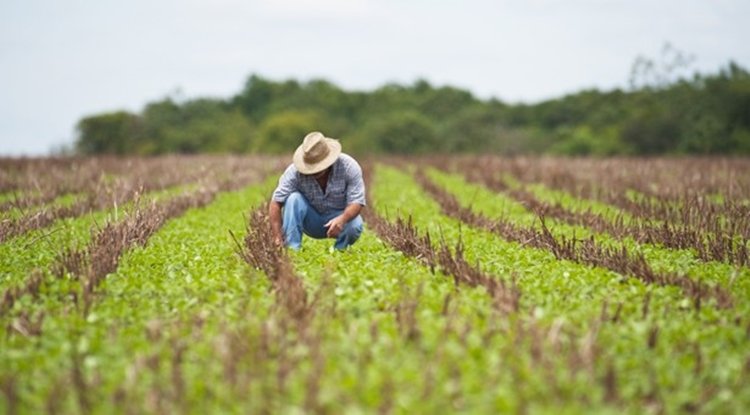 engenheiro-agronomo-615x340