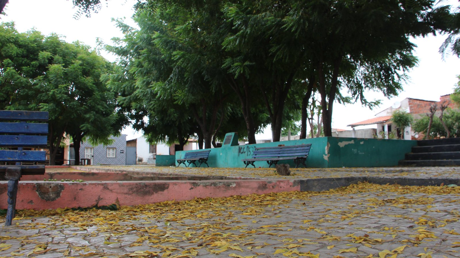 Sem internet pública, sem lixeiras e sem podas de árvores, Praça do Jaime Lopes é mais um retrato do descaso