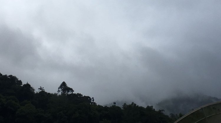 d3e0a6a3-4141-4720-b4f3-d03d50146752