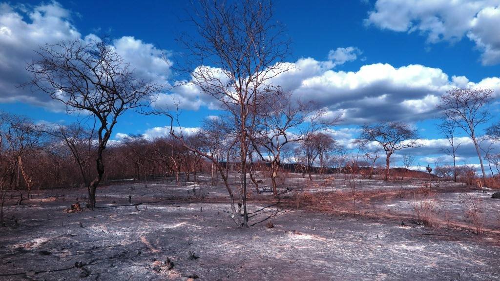 Combate a incêndio florestal em Canindé deverá ser concluído hoje, 03