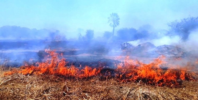Quixadá-incêndio-florestal-13.09.18-9