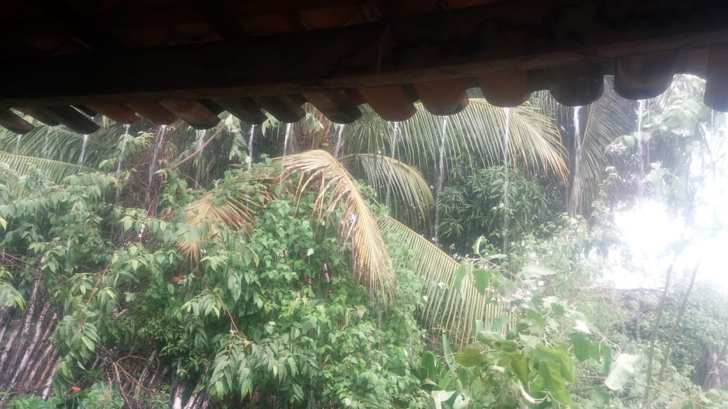 WhatsApp Image 2019-01-18 at 09.16.50