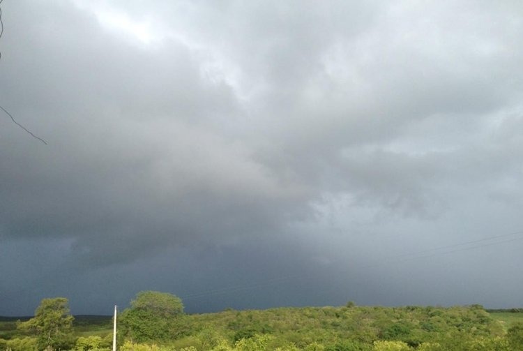 WhatsApp Image 2019-04-03 at 10.24.38