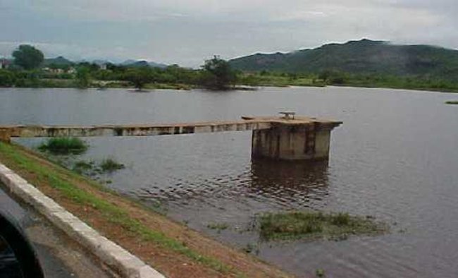 patos