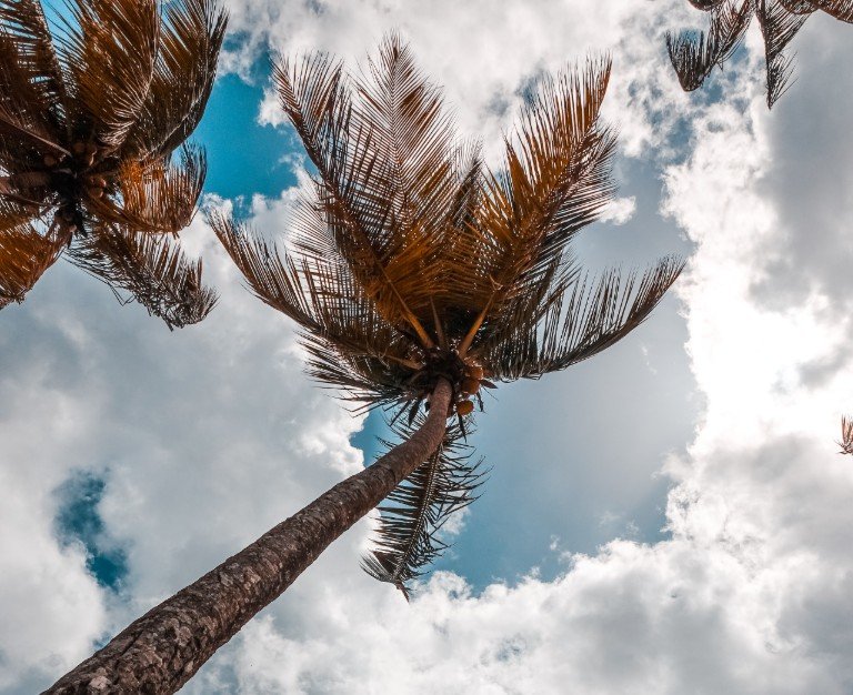 blue-sky-clouds-coconut-trees-2565437-1