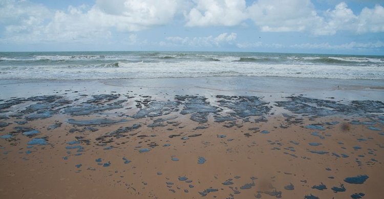 Petrobras recolhe mais de 133 toneladas de resíduo oleoso de praias