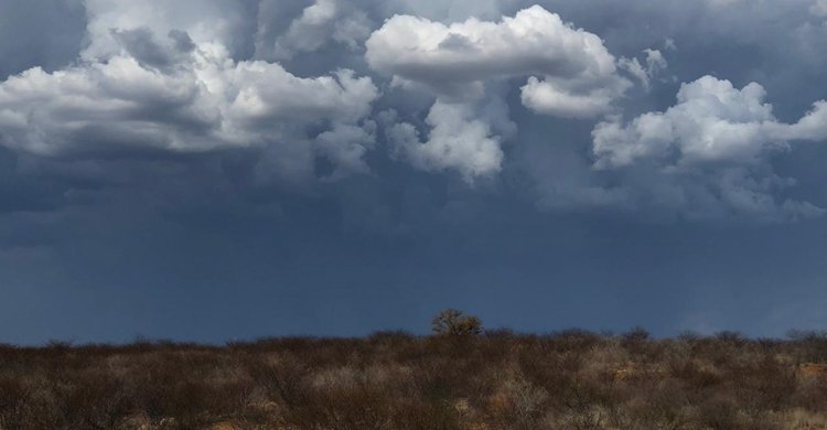 WhatsApp-Image-2019-10-20-at-20.15.17