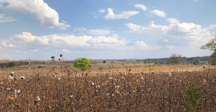 WhatsApp-Image-2019-10-02-at-06.43.04