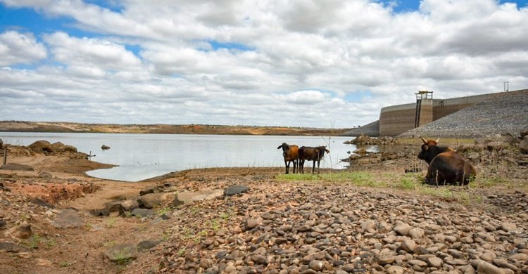 WhatsApp-Image-2019-10-23-at-16.37.41