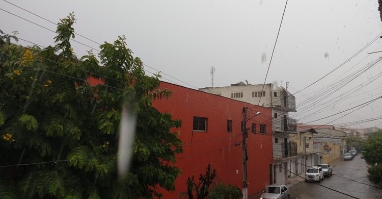 WhatsApp Image 2019-12-09 at 10.16.35