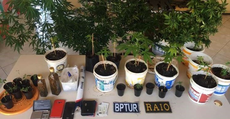 Aracati-apreensão-maconha-768x541