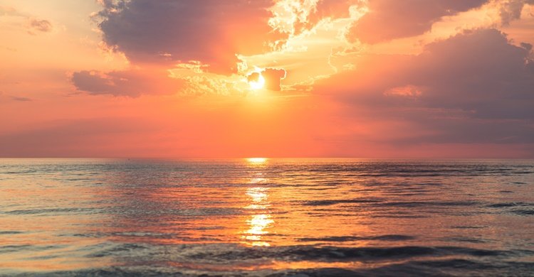 sebastien-gabriel-IMlv9Jlb24-unsplash