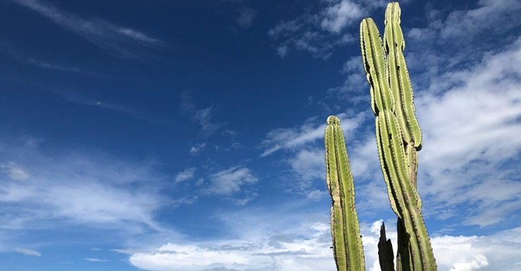 WhatsApp-Image-2020-03-03-at-14.57.57