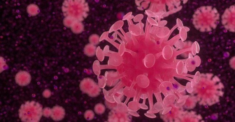 coronavirus-3-868x607