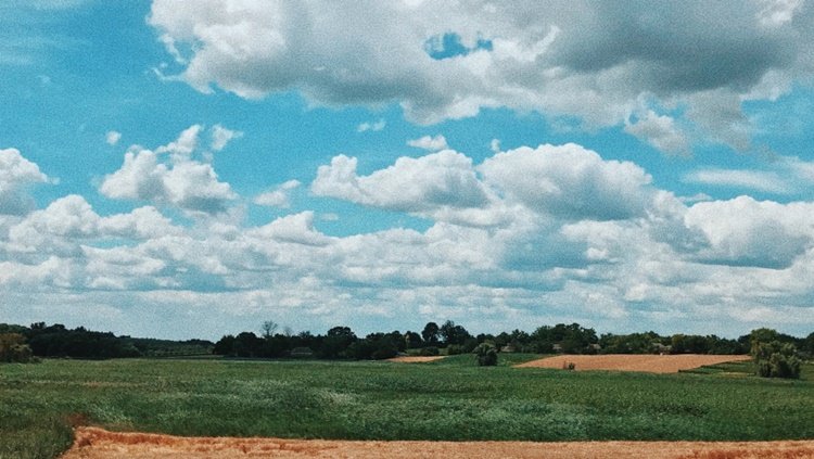 thewayofcolor-JyOeDt0kRYc-unsplash