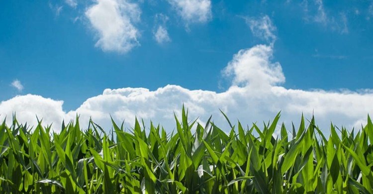 nature-sky-sunny-clouds-2678-1200x797