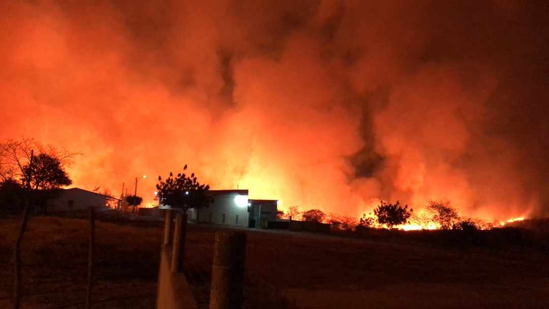 WhatsApp Image 2020-09-02 at 10.15.55