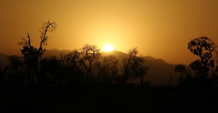 javad-asadi-9RWCvD0MWQM-unsplash