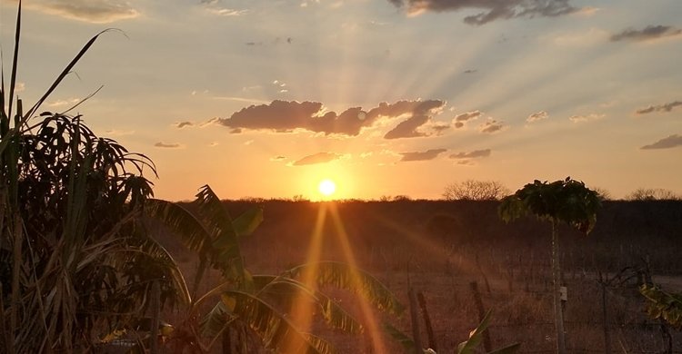 WhatsApp-Image-2020-10-11-at-17.23.12