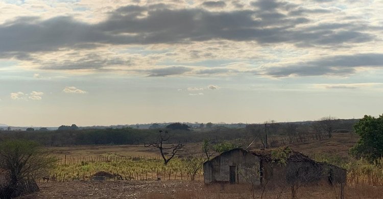 WhatsApp-Image-2020-10-24-at-06.34.54