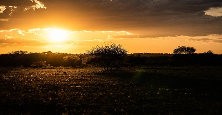 eelco-bohtlingk-qFiBqYPmgr4-unsplash