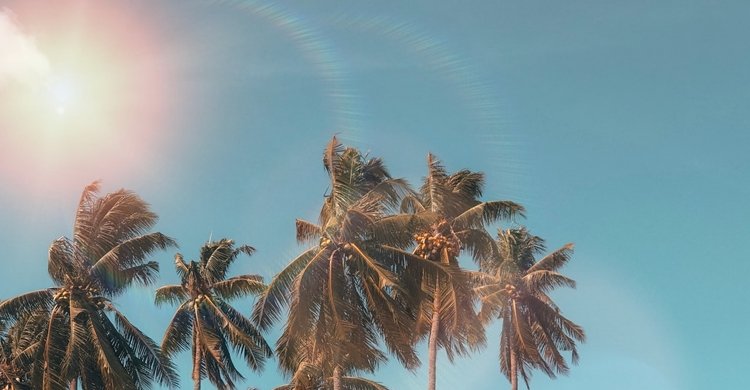 pexels-marctutorials-1152359