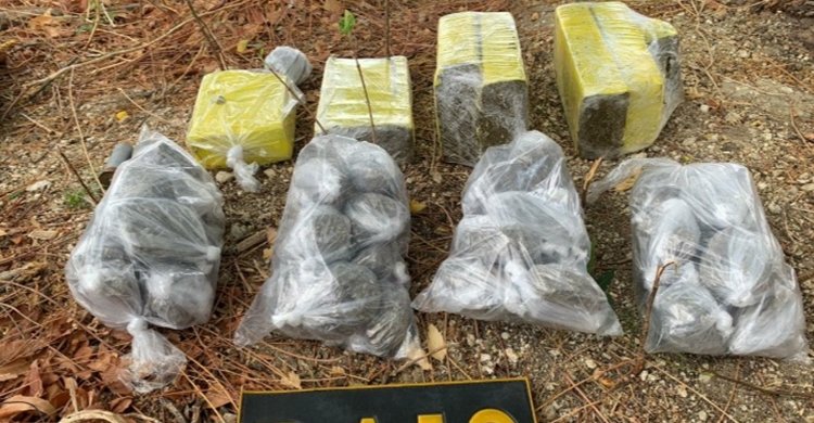 CPRaio-da-PMCE-apreende-quase-55-kg-de-maconha-em-terreno-baldio-em-Quixada-2