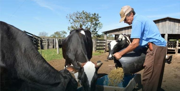 Criadores do Ceará devem se regularizar junto a Adagri até o dia 17 de maio