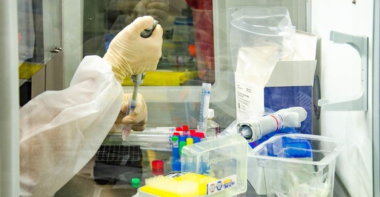 Covid-19: Fiocruz amplia capacidade nacional de testagem