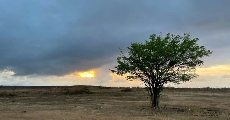 WhatsApp-Image-2021-10-22-at-05.23.59-1200x900