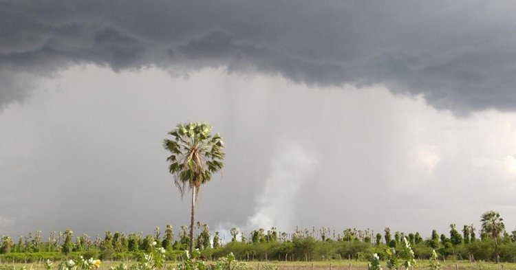 161788461_1206455566474424_8300505492091169090_n